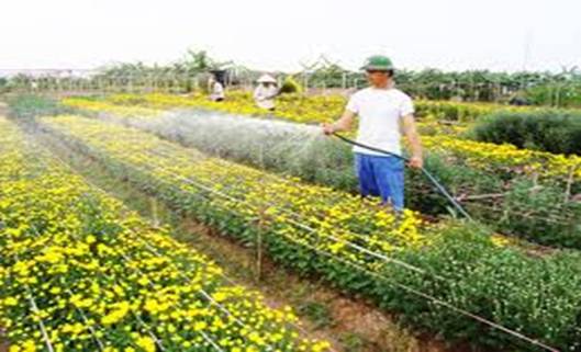 LT_2_18_8_2013.jpg
