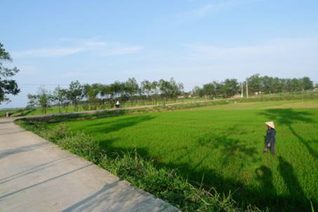 TN_3_13_4_2011.jpg