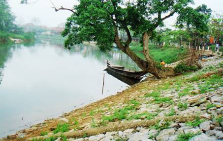TN_5_13_4_2011.jpg