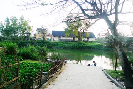TN_7_13_4_2011.jpg