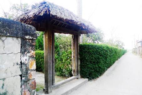 TN_8_13_4_2011.jpg